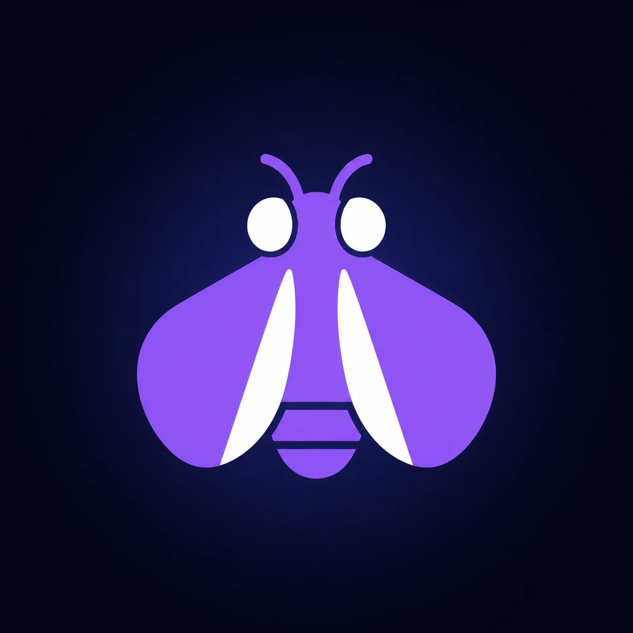 Fly.io